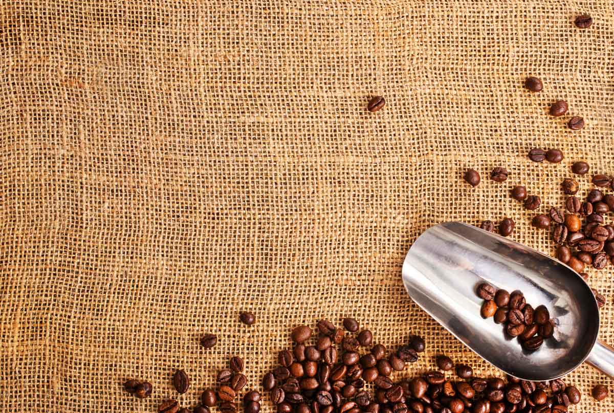 The Ultimate Guide to the Best Coffee in 2020